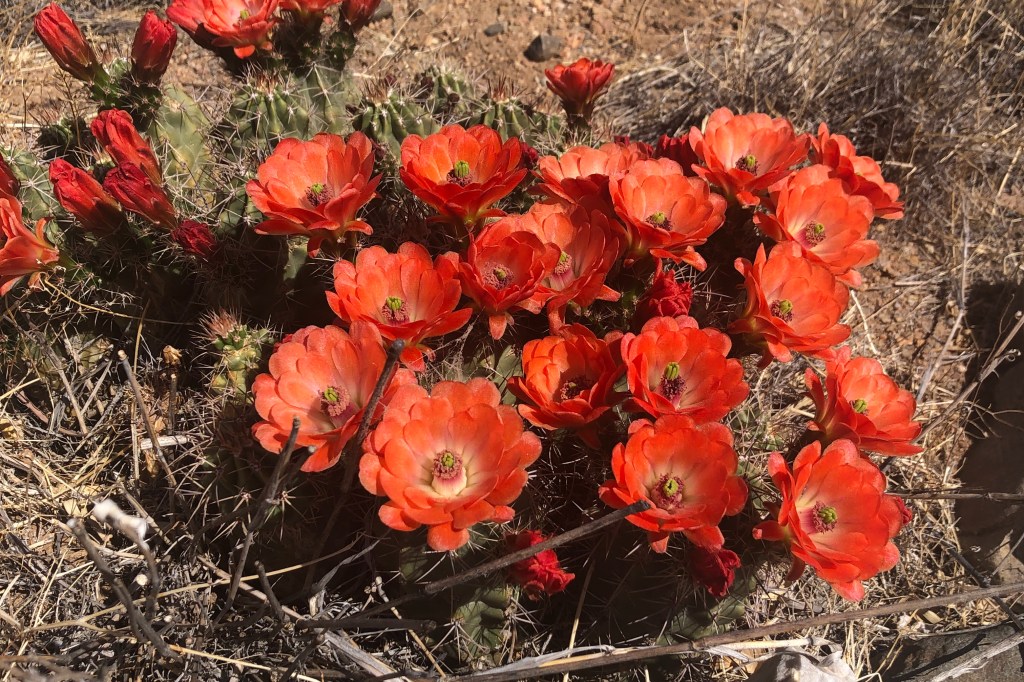 Pandemic Prayers for the Third Sunday of&nbsp;Easter