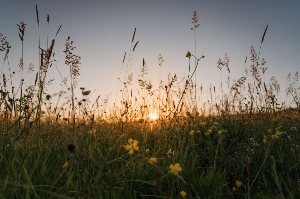 Prayer Psalm for the End of&nbsp;Summer